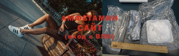 шишки Гусь-Хрустальный