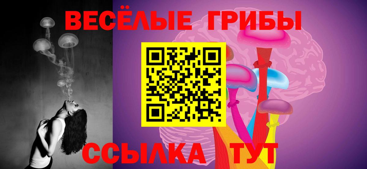Псилоцибиновые грибы мицелий Нижневартовск